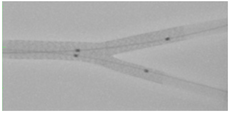 Ding Bifurcation Figure 8