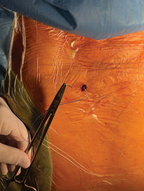 Donovan-Fig6-Oct 2025.png 