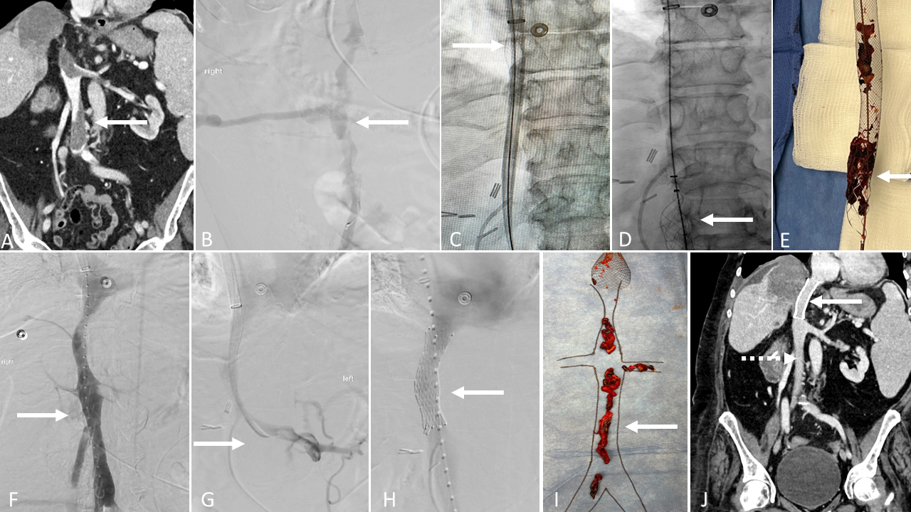 Shaikh Image Collage