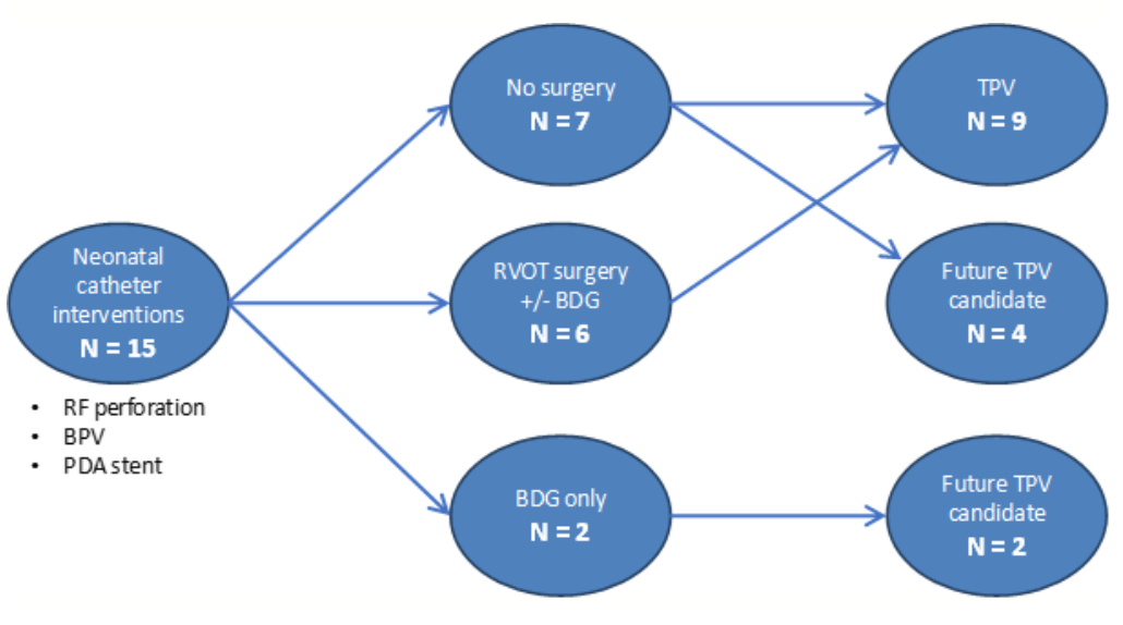 Dreger Transcatheter Figure 1
