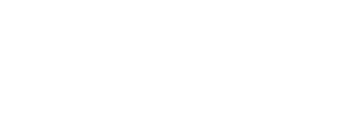 PopHealth perspectives logo all white