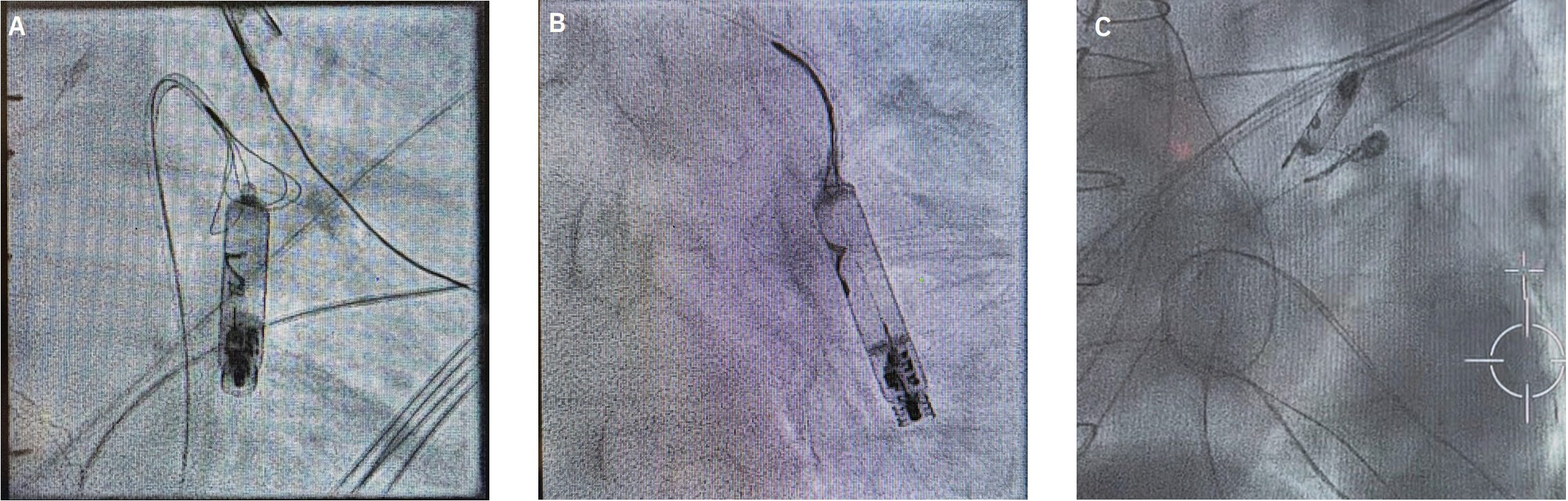 Eaker-fig2-Nov 2025.png 