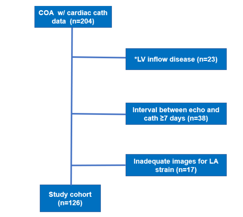 Egbe Left Atrial Strain Figure 1