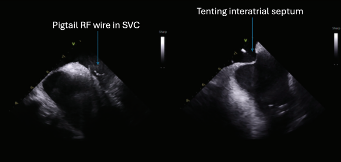Ekanem-Fig2-April 2025.png