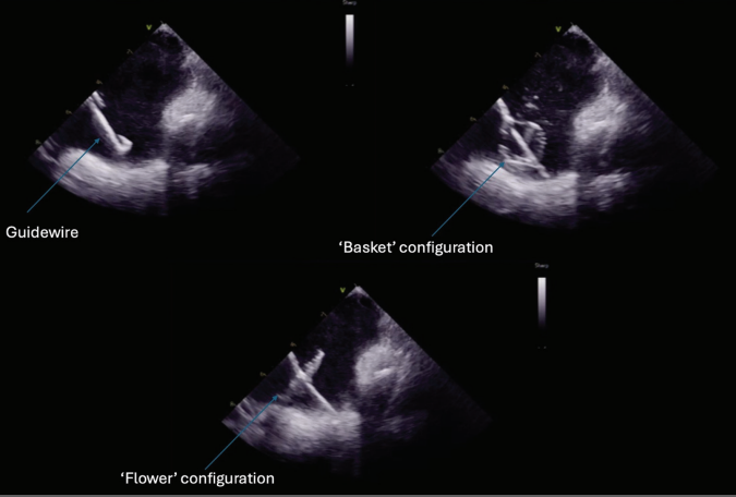 Ekanem-Fig3-April 2025.png 