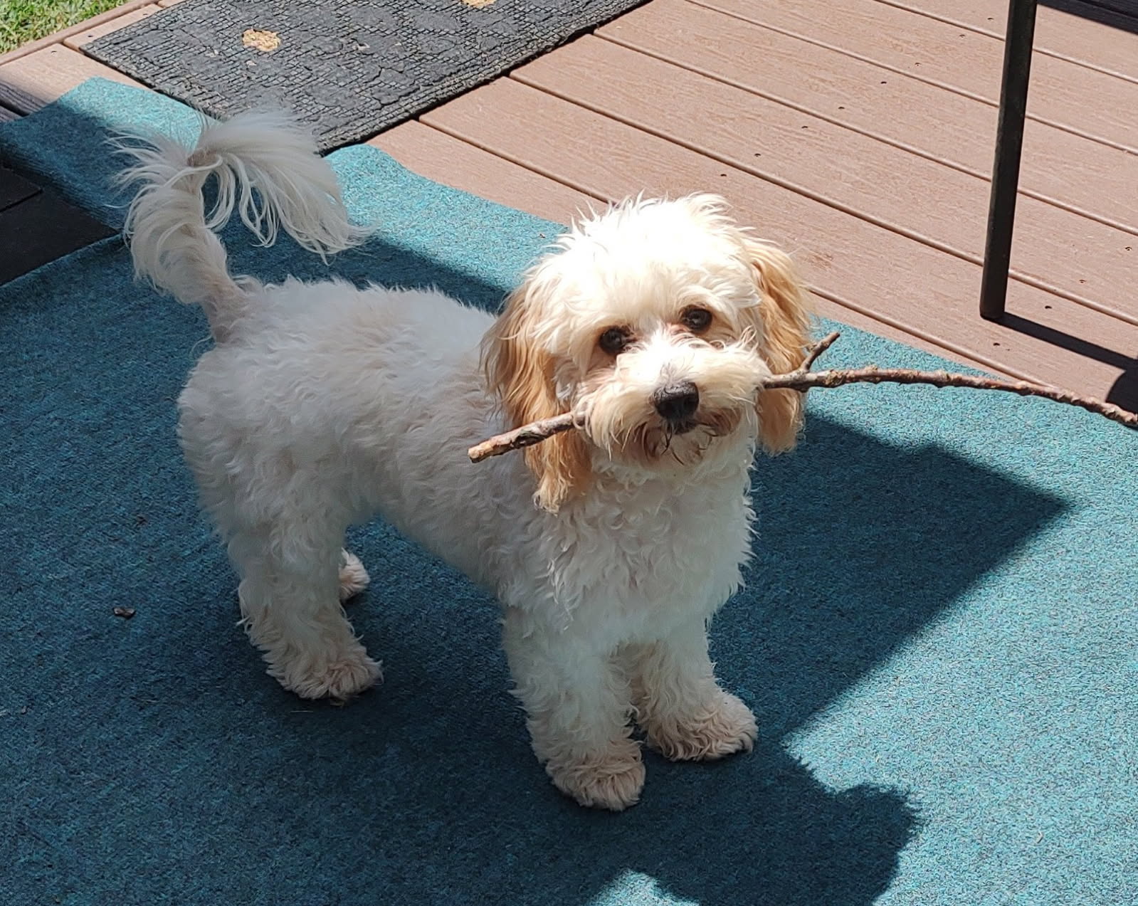 Ellie shows off a big stick