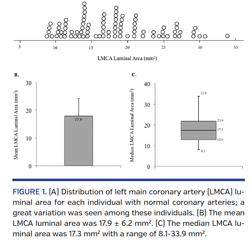 FIGURE 1. (A) Distribution of left main coronary artery.png