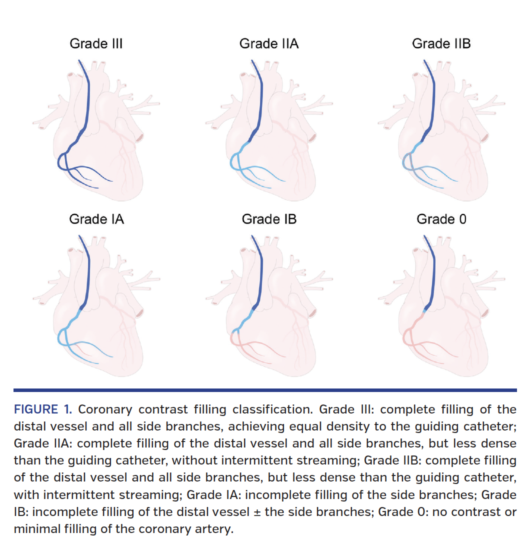 FIGURE 1. Coronary contrast filling classification..png