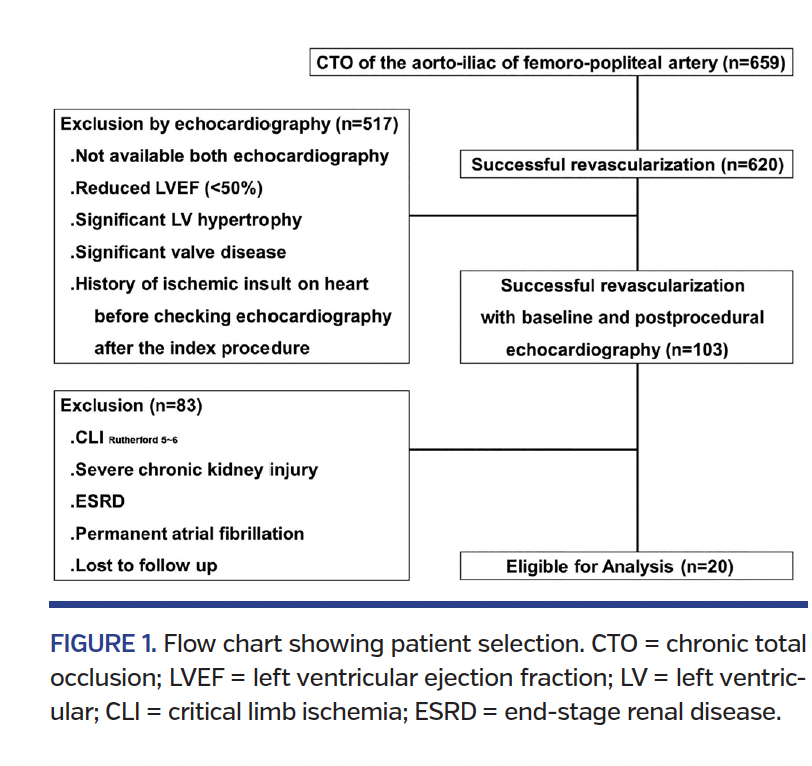 FIGURE 1. Flow chart showing patient selection..png