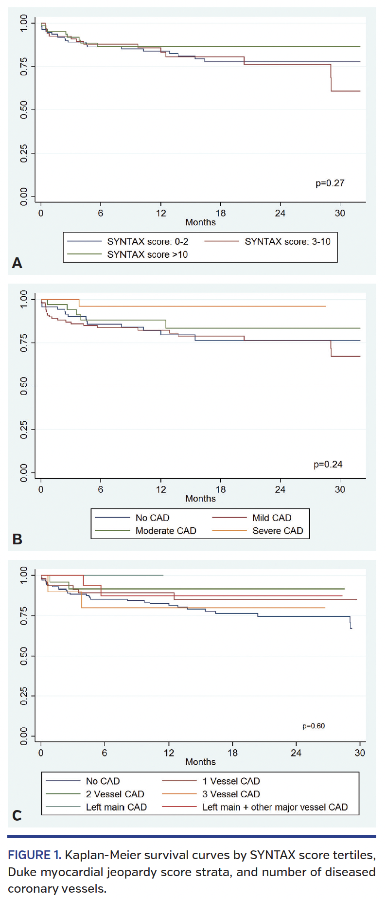 FIGURE 1. Kaplan-Meier survival curves.png