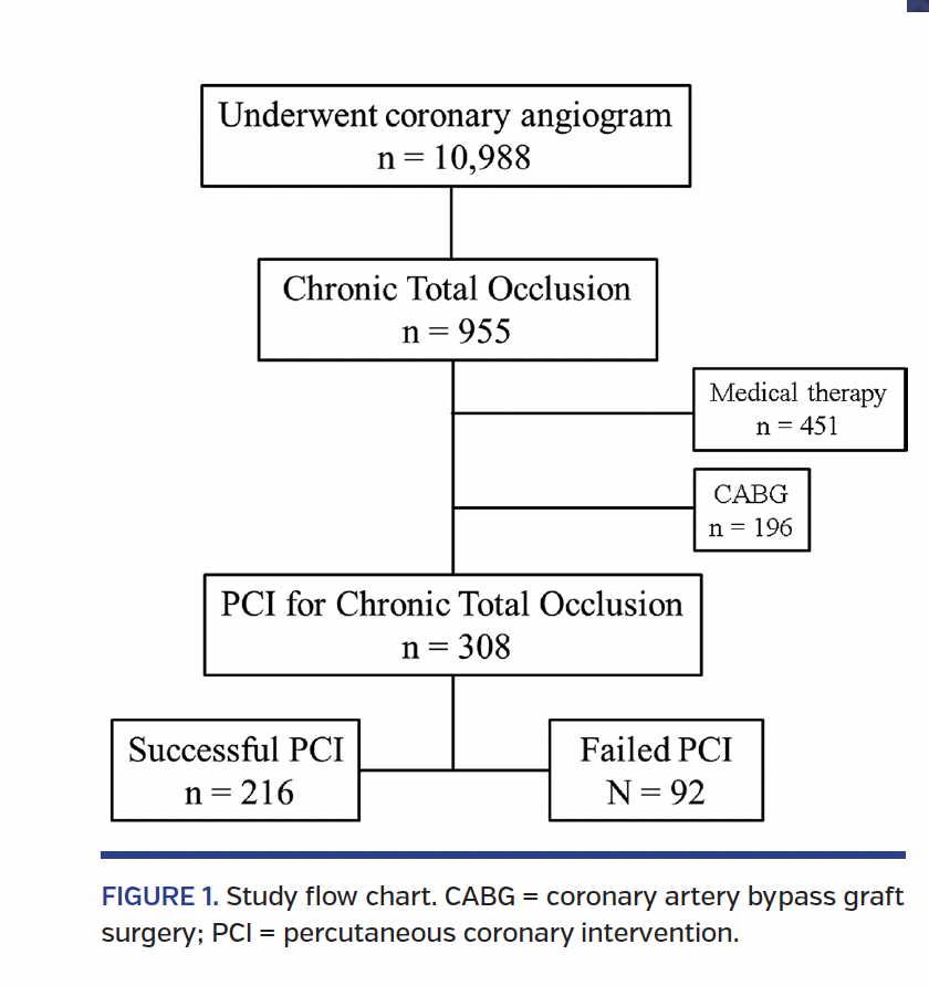FIGURE 1. Study flow chart..png