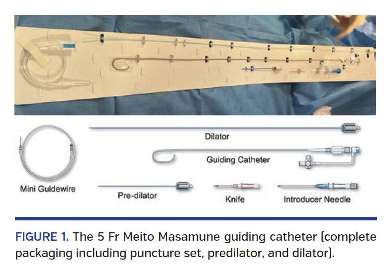 FIGURE 1. The 5 Fr Meito Masamune guiding catheter.png