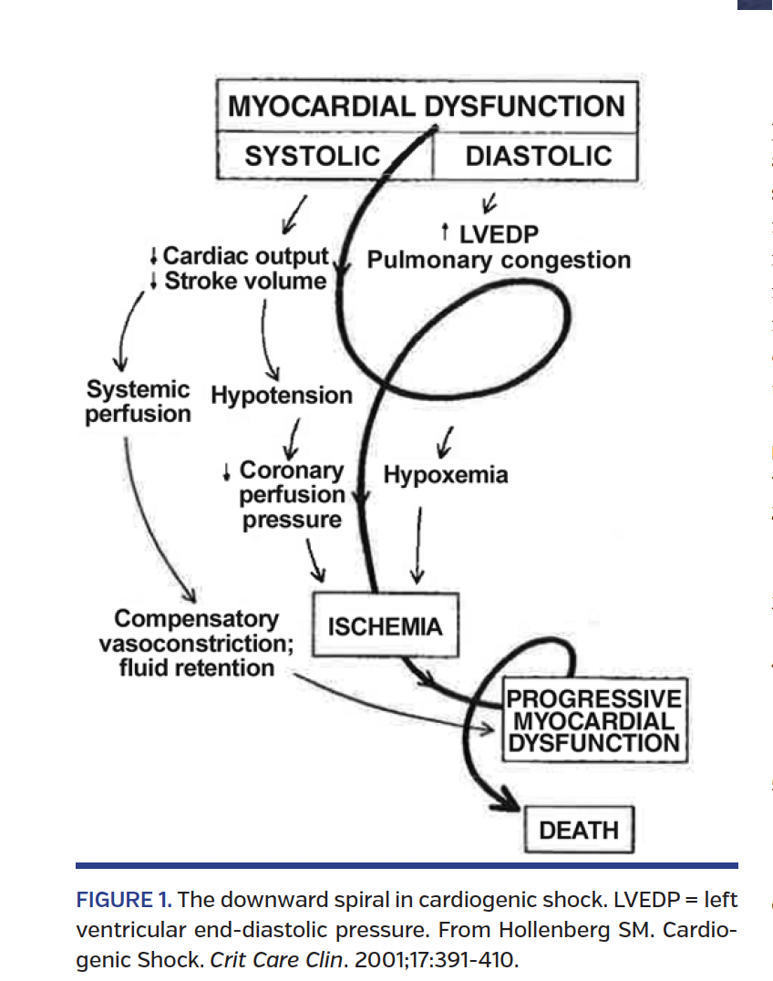 FIGURE 1. The downward spiral in cardiogenic shock..png