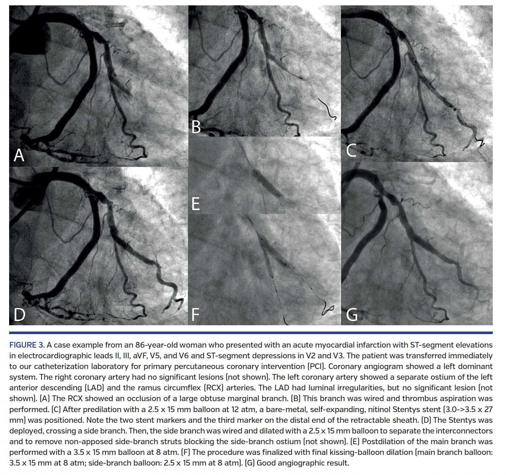 FIGURE 3. A case example from.png