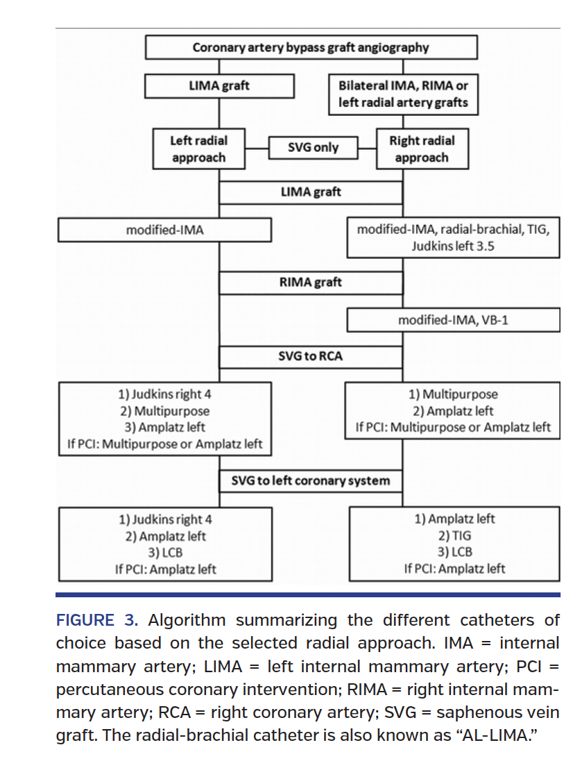 FIGURE 3. Algorithm summarizing the different catheters.png