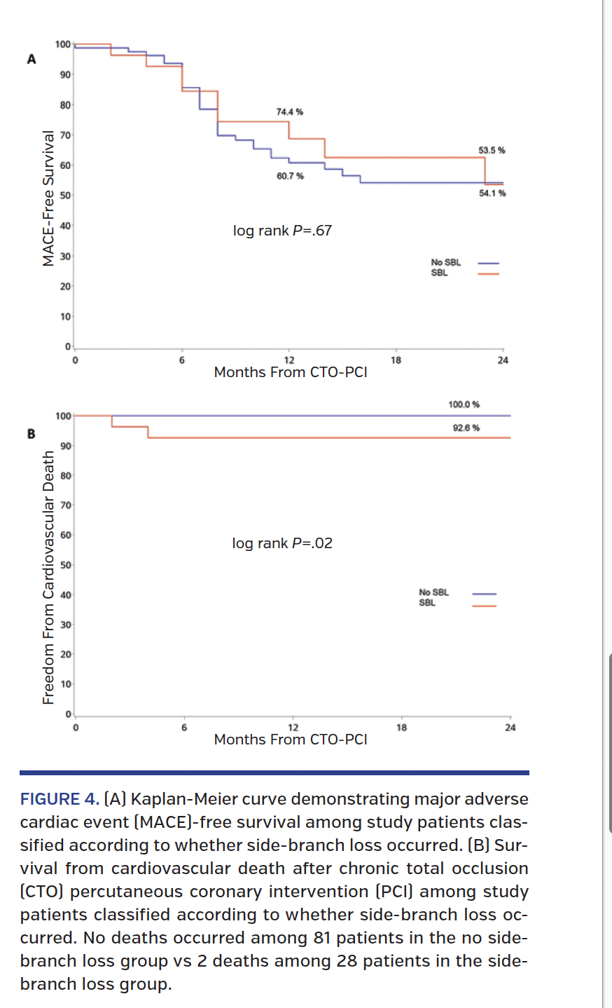 FIGURE 4. (A) Kaplan-Meier curve.png