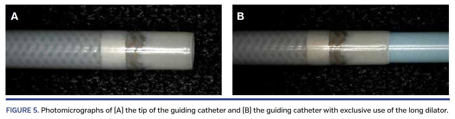FIGURE 5. Photomicrographs
