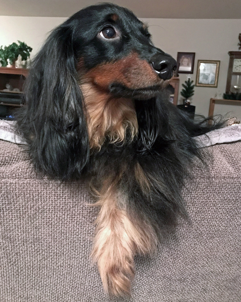 Thanks to the TEER procedure, Fergie is living her best life.