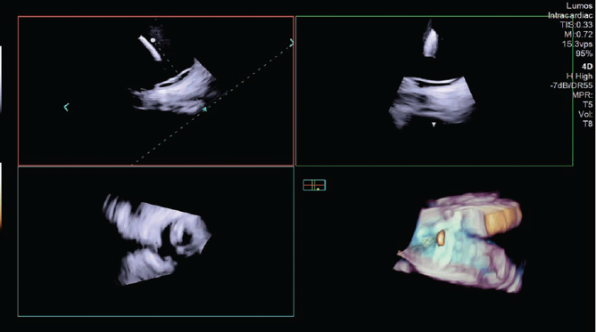 Fig1-ImagingCorner-March2025