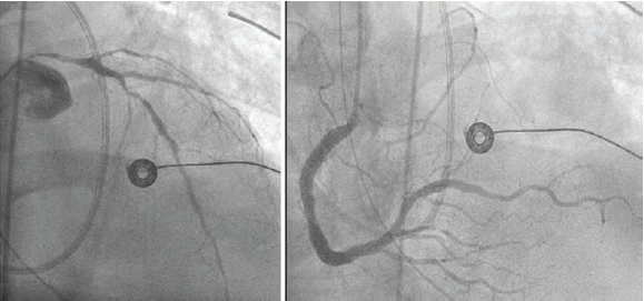 Fig1-Shaikh-Cortese-March2025