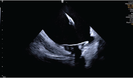Fig2-ImagingCorner-March2025