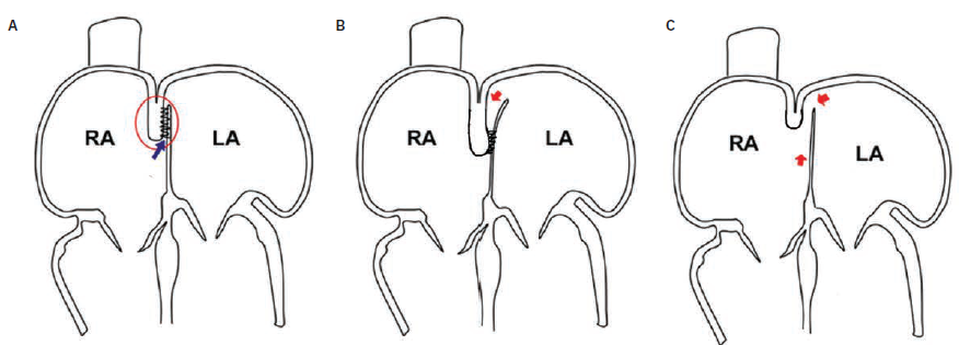 Fig2-Krishnan-March2025