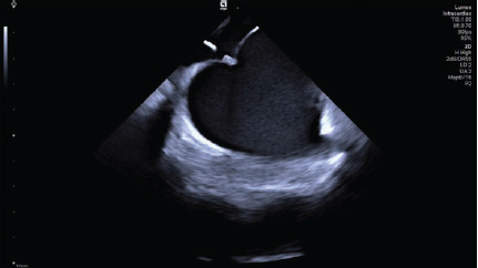 Fig3-ImagingCorner-March2025