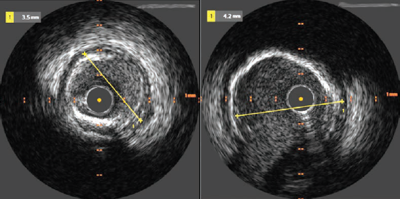 Fig3-Shaikh-Cortese-March2025