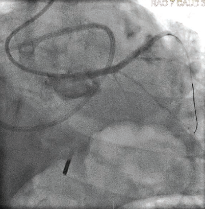 Fig5-Shaikh-Cortese-March2025