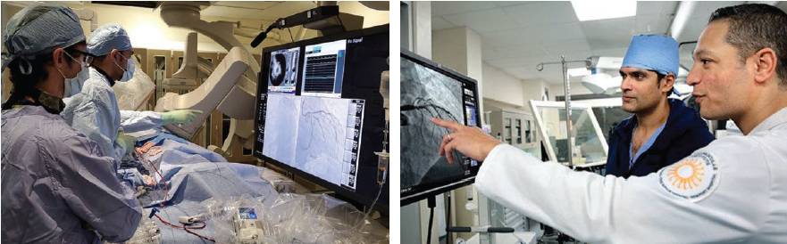 Fig5-Spotlight-March2025