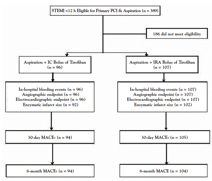 Figure 1. Flow chart of patient enrollment