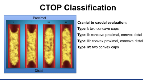 FIGURE 1. Peripheral artery chronic total occlusion crossing approach based on plaque cap morphology: the CTOP classification.