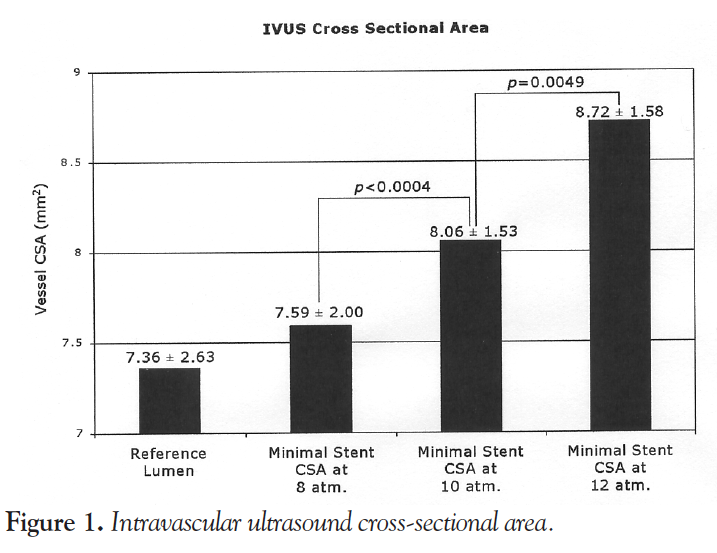 Figure 1. Intravascular ultrasound cross-sectional area