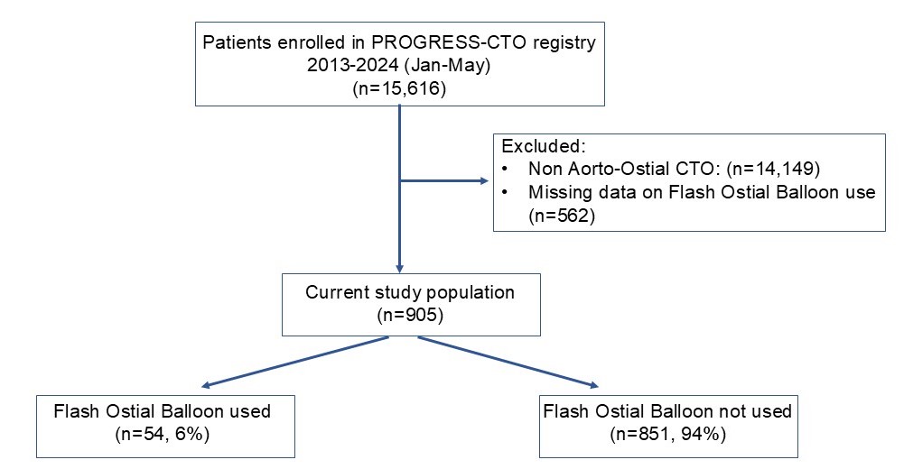 Figure 1. Study flowchart. 
