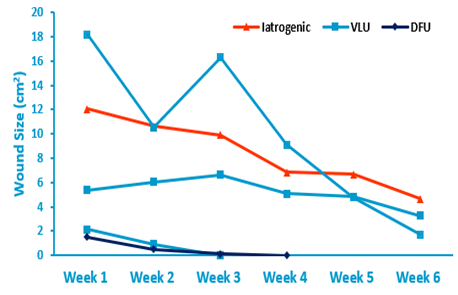 Figure 1: Changes in wound size over 6 weeks (n = 5). DFU: diabetic foot ulcer, VLU: venous leg ulcer