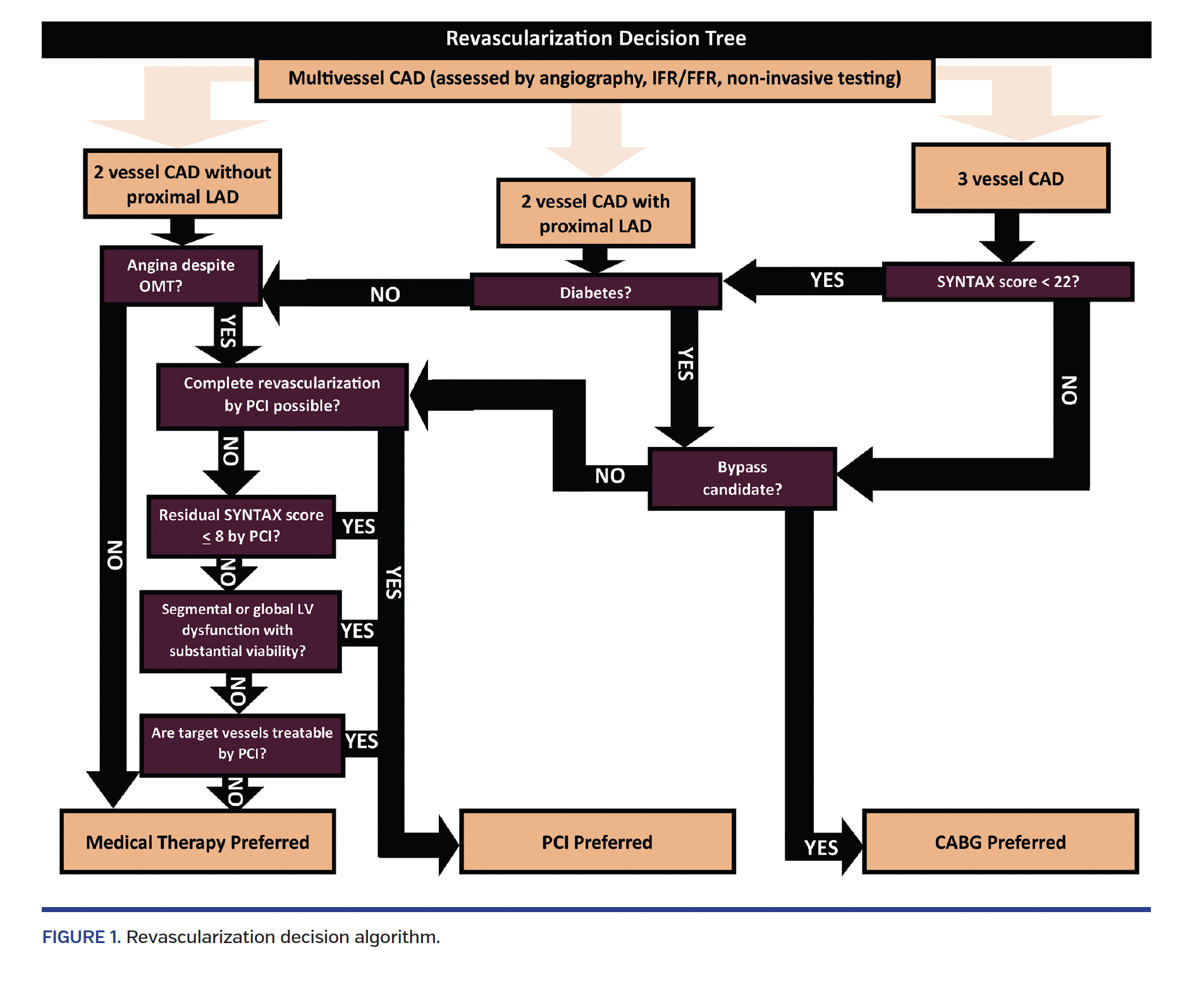 FIGURE 1. Revascularization decision algorithm.