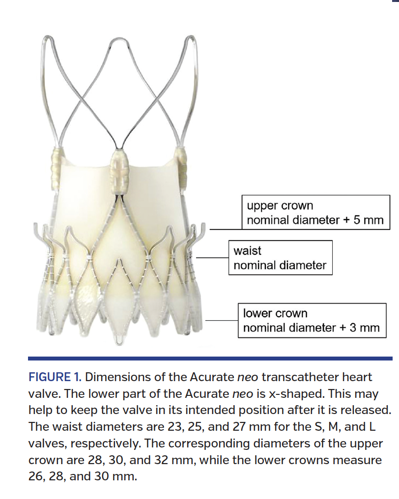 FIGURE 1. Dimensions of the Acurate neo transcatheter heart valve.