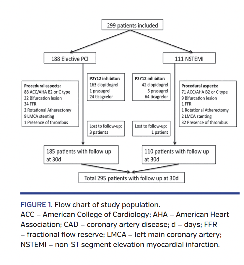 FIGURE 1. Flow chart of study population. ACC = American College of Cardiology; AHA = American Heart Association; CAD = coronary artery disease; d = days; FFR = fractional flow reserve; LMCA = left main coronary artery; NSTEMI = non-ST segment elevation myocardial infarction.