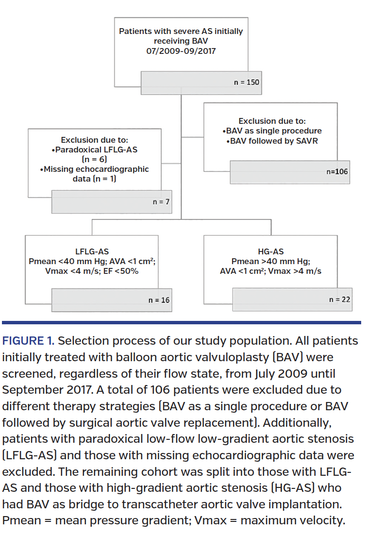 FIGURE 1. Selection process of our study population. All patients initially treated with balloon aortic valvuloplasty (BAV) were screened, regardless of their flow state, from July 2009 until September 2017.