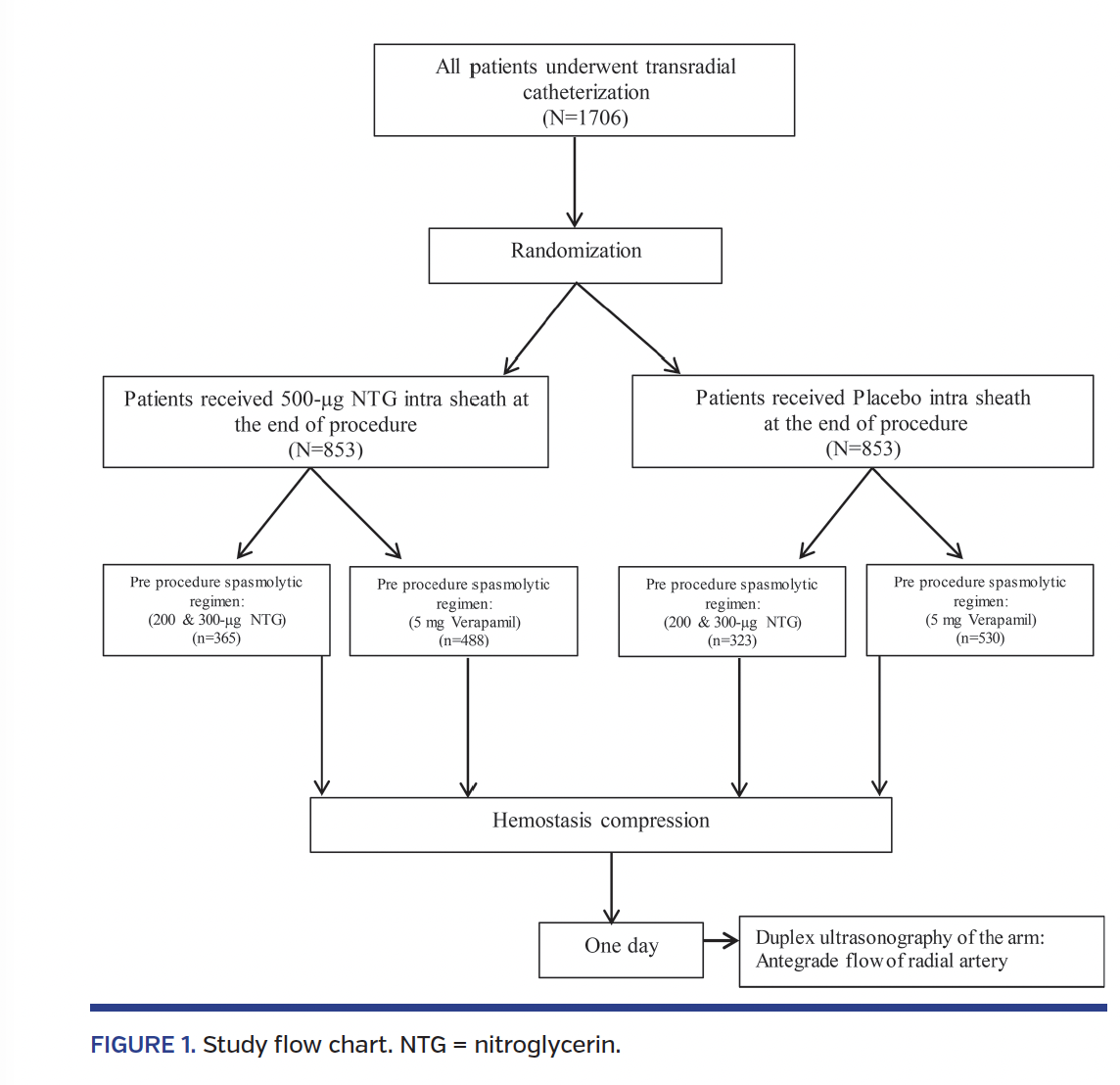 FIGURE 1. Study flow chart. NTG = nitroglycerin.