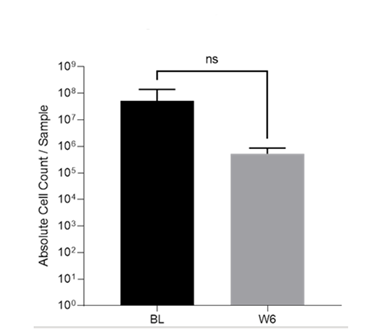 Figure 2: Absolute bacterial reduction for unhealed wounds (n = 3).  BL: baseline, W6: week 6.