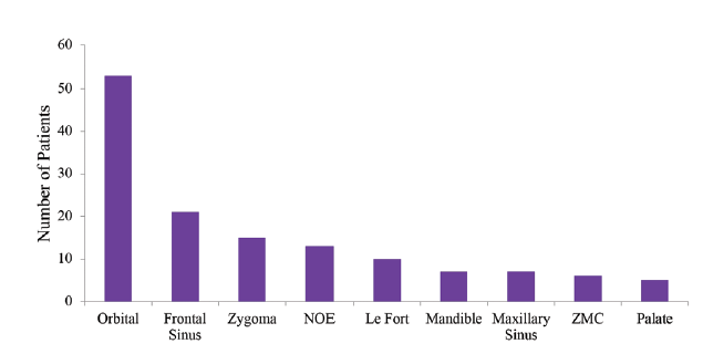 Figure 3 Halsey Nasal Bones