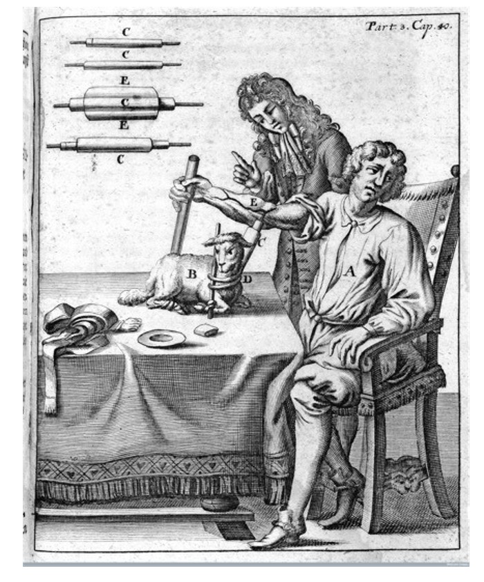 Transfusión cordero - humano (Foto: daily.jstor.org) 