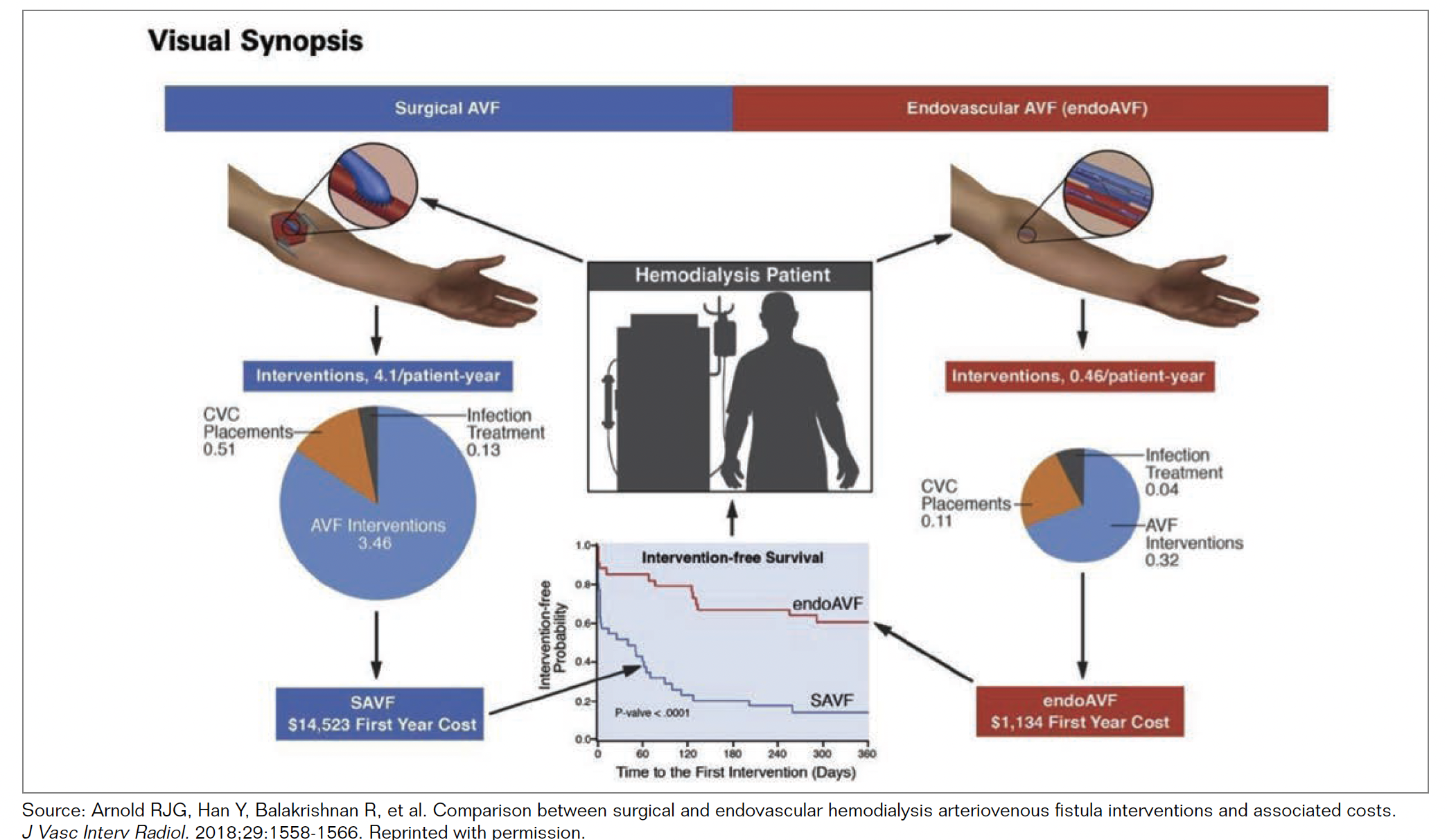 Figure 4. Visual synopsis of surgical arteriovenous fistula (AVF) vs endovascular AVF costs and outcomes.