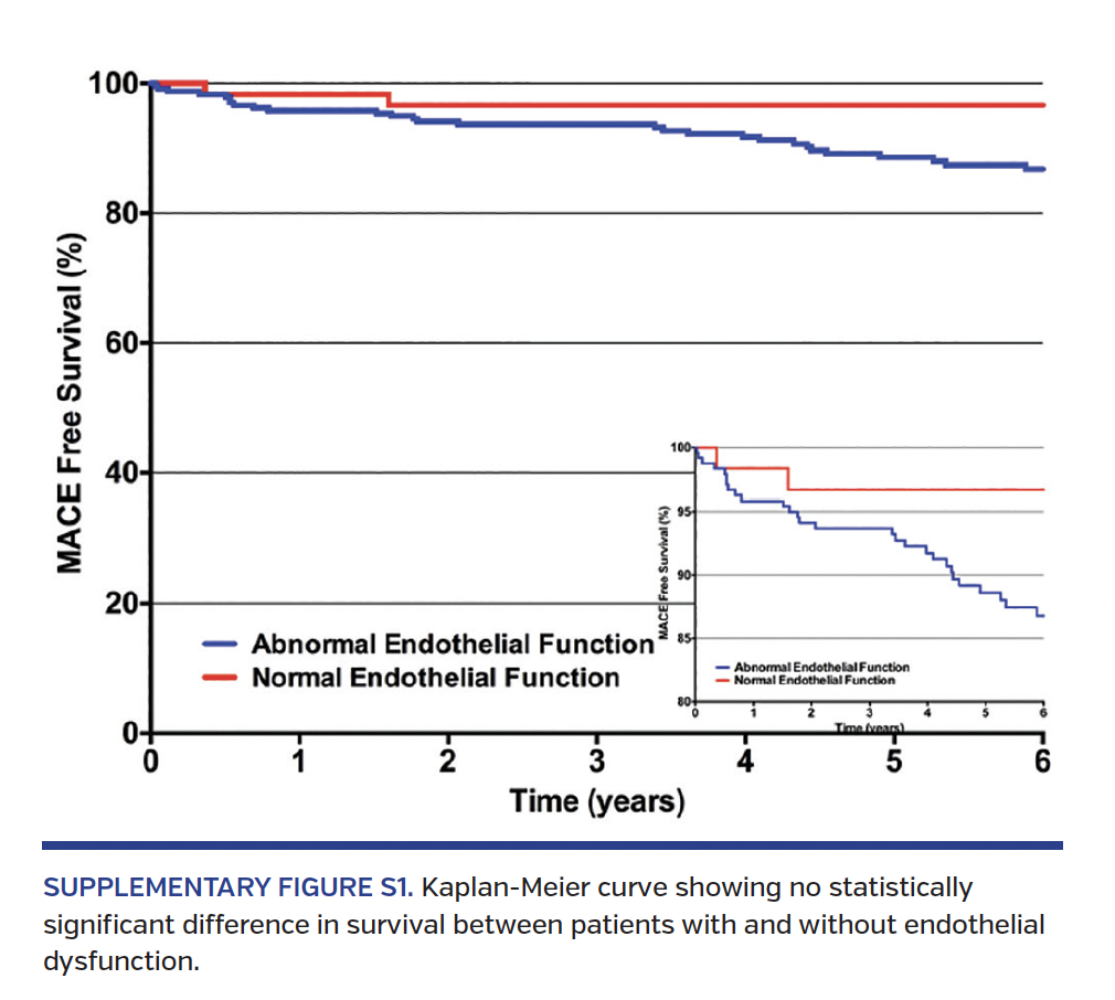 SUPPLEMENTARY FIGURE S1. Kaplan-Meier curve showing no statistically significant difference in survival between patients with and without endothelial dysfunction.