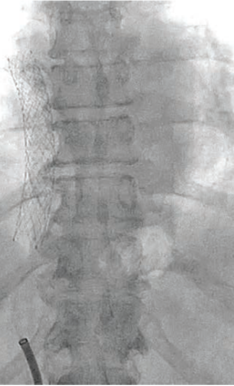 Flanagan Fig 1 May 2024