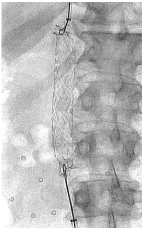 Flanagan Fig 2 May 2024