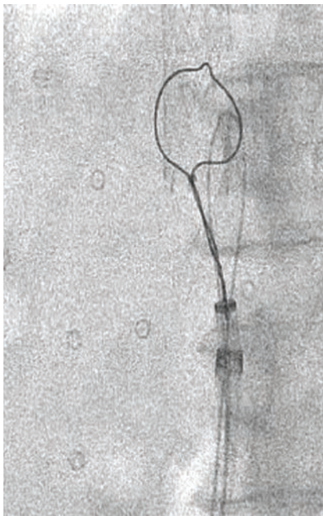 Flanagan Fig 3 May 2024