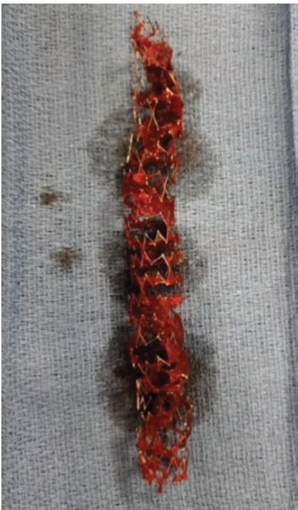 Flanagan Fig 4 May 2024