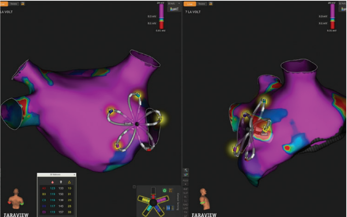 Frankel-Fig2-Dec 2025.png 